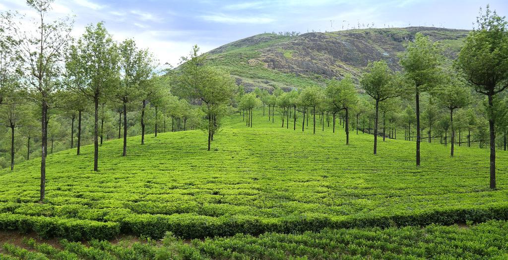 Hotel Elysium Garden Munnar Esterno foto